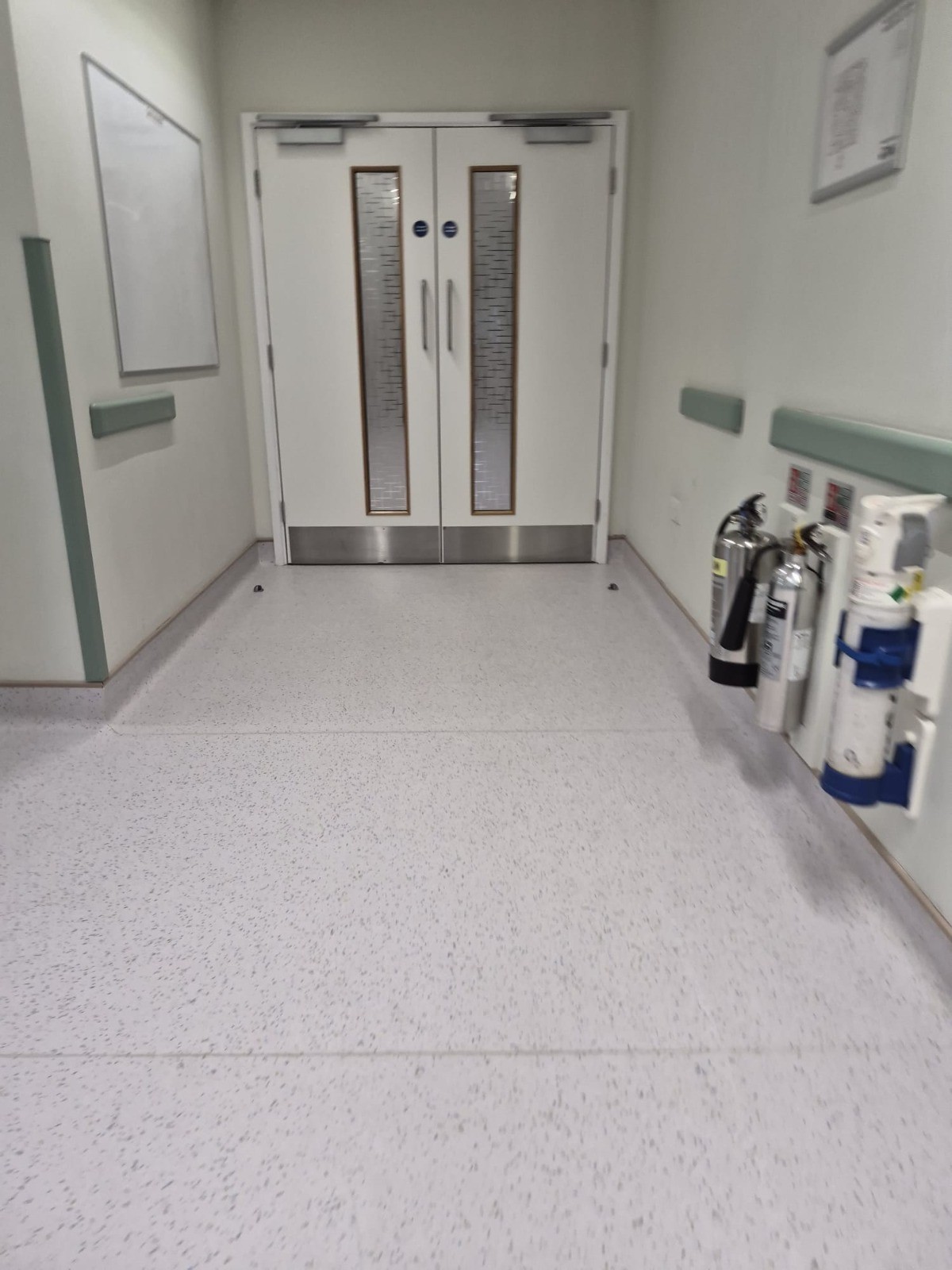 Healthcare Sector
